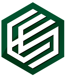 EgaoSystem